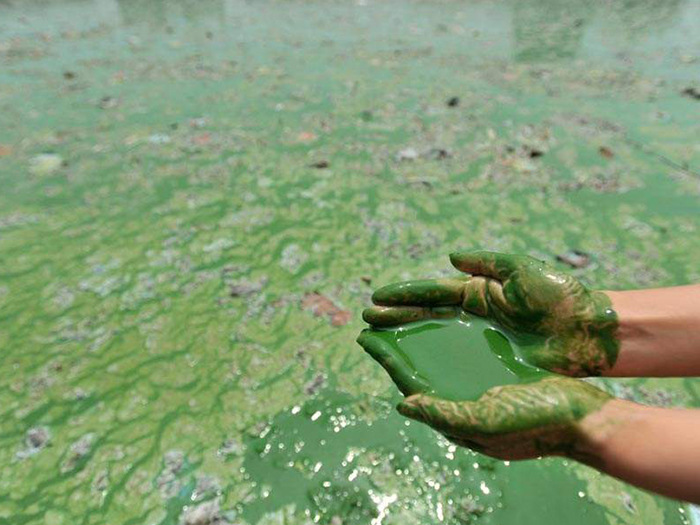 工業(yè)廢水檢測(cè) 工業(yè)廢水檢測(cè)