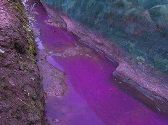 1643079506194169.jpg u=3086995053,2945848905&fm=253&fmt=auto&app=138&f=PNG.webp.jpg