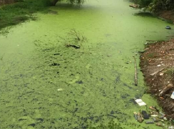 1643249675735104.jpg 27119127588865.jpg