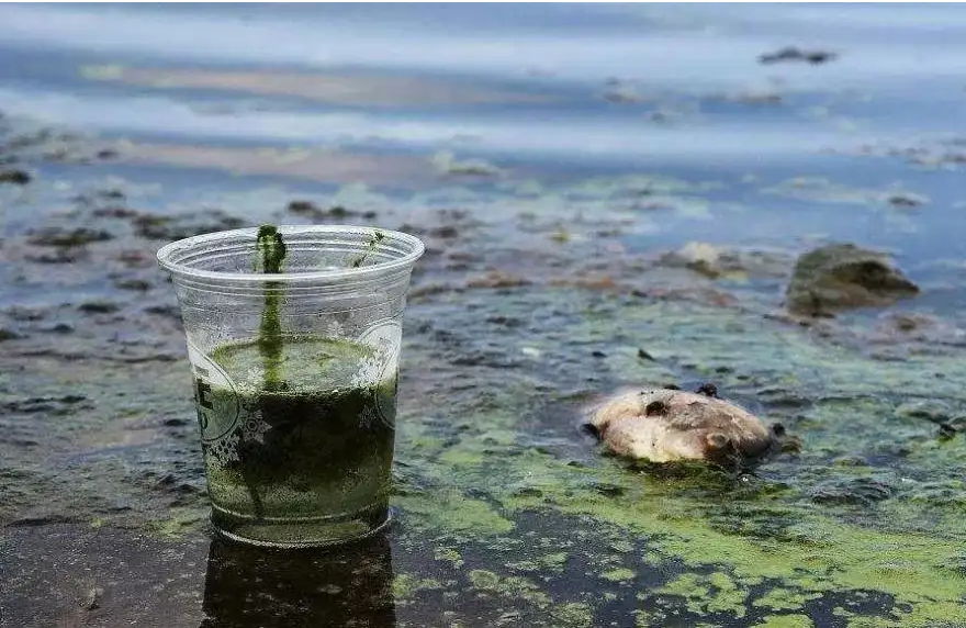 1650506715422521.png QQ截圖20220414134122.png