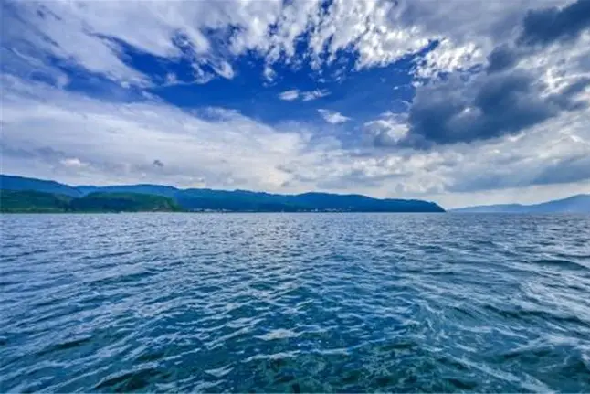 1651108741310475.png 水質11.png