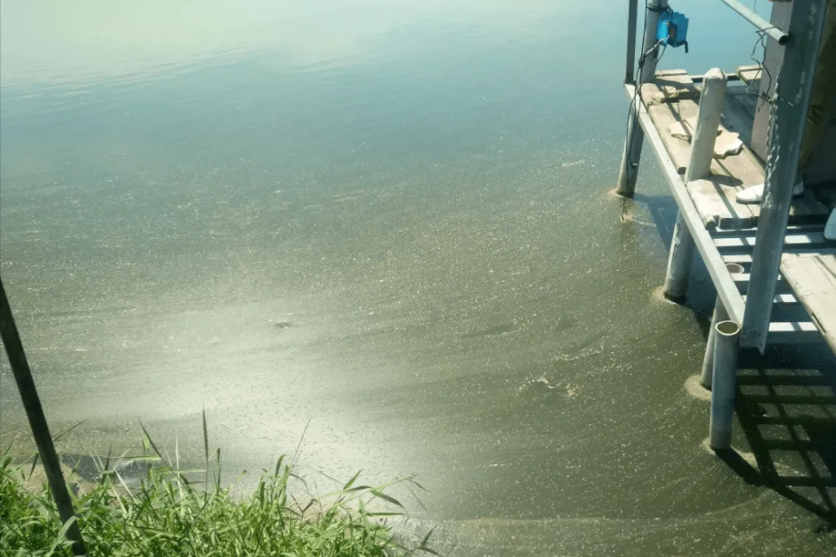 1652405784208119.png 氨氮3.png