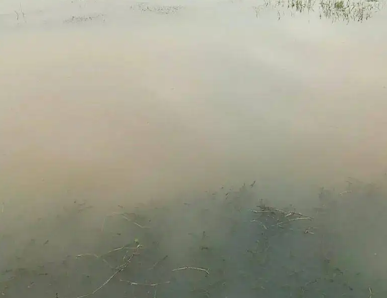 1654478476210487.png 白濁水.png