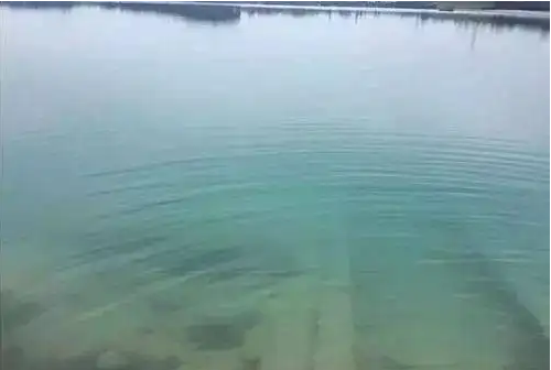 1654478659183975.png 清瘦水.png