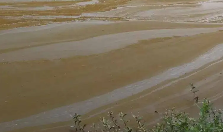 1654564237324718.png 黑棕色.png