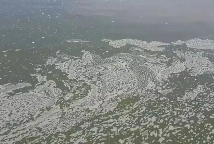 1654564297814063.png 泥皮水.png