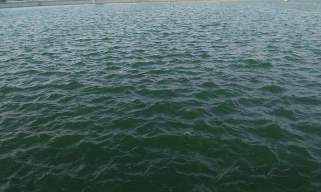 1657676075843686.png QQ截圖20220615095457.png