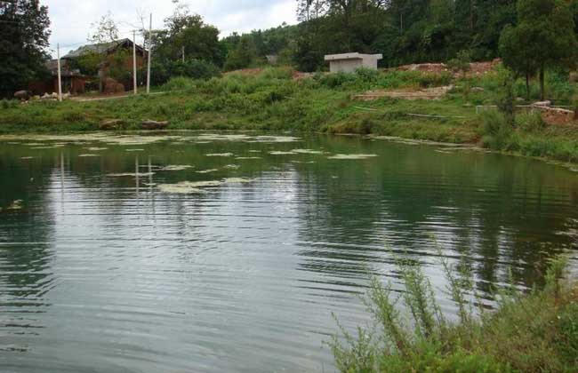 1697096768162043.jpeg 2f4911015b51e3466494af74be33cff7.jpeg