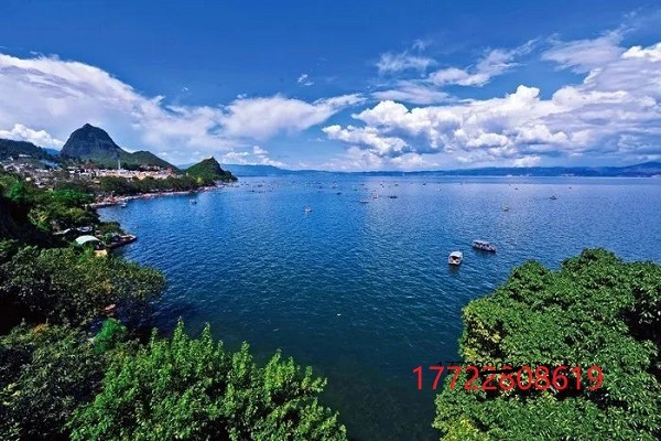 1698993862557129.jpg e98da59e110febcbb4b50f2b333e0c30.jpg