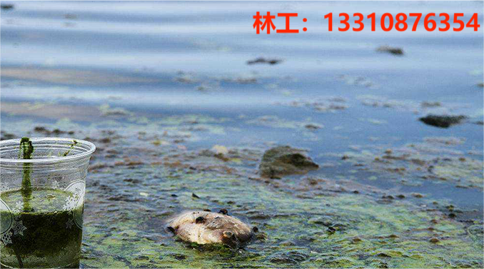 1707375220187521.png 3-200H3114319B6.png